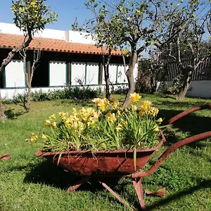 https://casa-rural-limn-y-sol.in-canary-islands.com